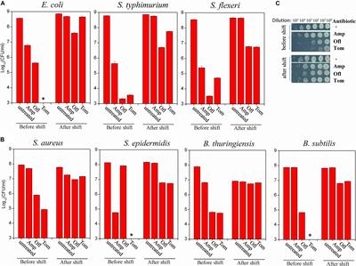 Hypoionic Shock Facilitates Aminoglycoside Killing of Both Nutrient Shift- and Starvation-Induced Bacterial Persister Cells by Rapidly Enhancing Aminoglycoside Uptake